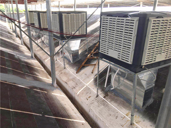 �S��܇�g����ͨ�L(f��ng)