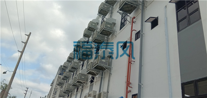 �S������ͨ�L(f��ng)-��̩��Q�ߜؐ���܇�g���}